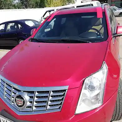 Фотогалерея